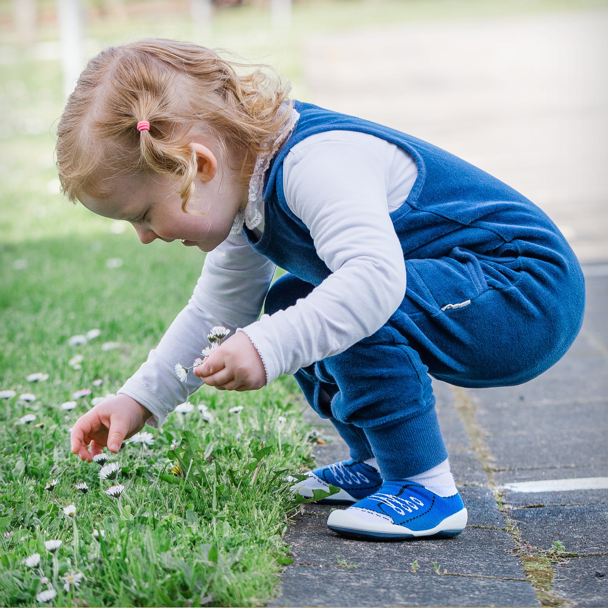 A toddler in a blue jumpsuit picking daisies.